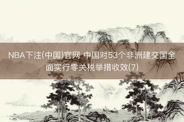 NBA下注(中国)官网 中国对53个非洲建交国全面实行零关税举措收效(7)