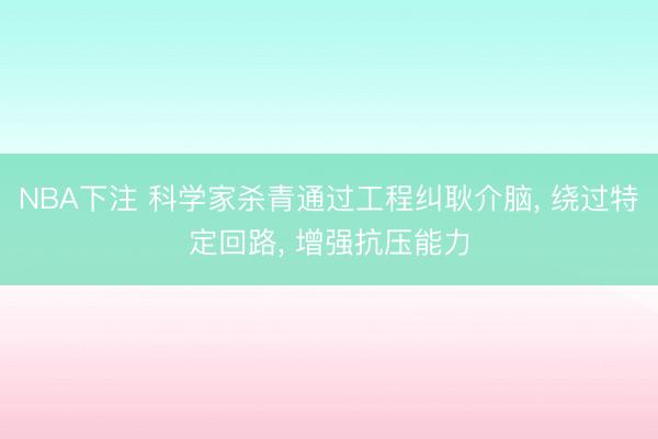 NBA下注 科学家杀青通过工程纠耿介脑， 绕过特定回路， 增强抗压能力
