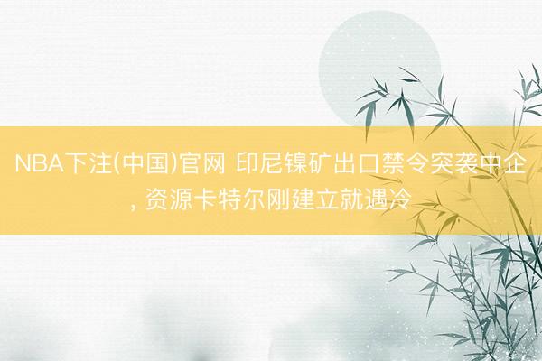 NBA下注(中国)官网 印尼镍矿出口禁令突袭中企， 资源卡特尔刚建立就遇冷