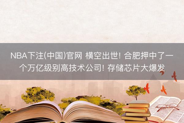 NBA下注(中国)官网 横空出世! 合肥押中了一个万亿级别高技术公司! 存储芯片大爆发