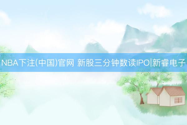 NBA下注(中国)官网 新股三分钟数读IPO∣新睿电子