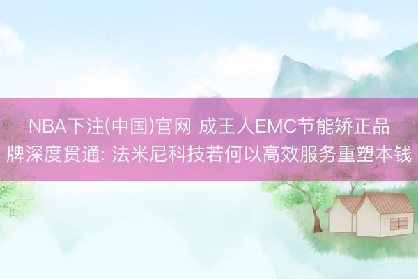 NBA下注(中国)官网 成王人EMC节能矫正品牌深度贯通: 法米尼科技若何以高效服务重塑本钱