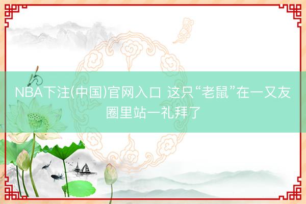 NBA下注(中国)官网入口 这只“老鼠”在一又友圈里站一礼拜了