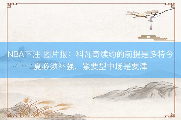 NBA下注 图片报:科瓦奇续约的前提是多特今夏必须补强,紧要型中场是要津