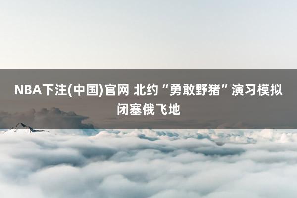 NBA下注(中国)官网 北约“勇敢野猪”演习模拟闭塞俄飞地