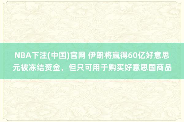 NBA下注(中国)官网 伊朗将赢得60亿好意思元被冻结资金，但只可用于购买好意思国商品